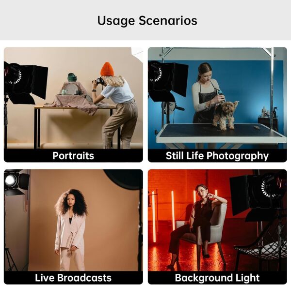 GVM F40 için Barndoor