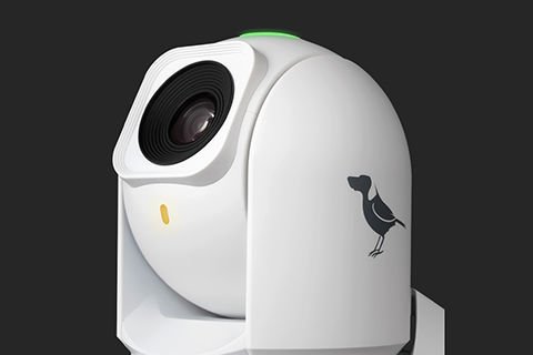 BirdDog P240 Ptz Kamera