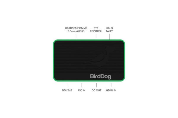 BirdDog Flex 4K In Encoder