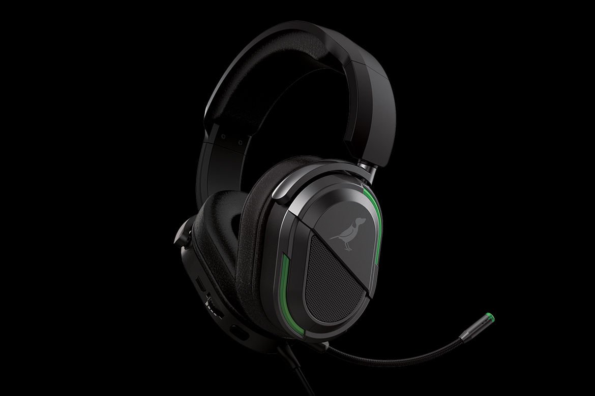 BirdDog Headset