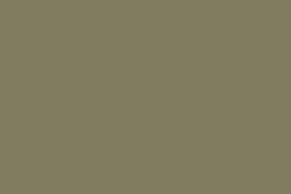 Visico Leaf 2.72 x 11 Metre Fon Kağıdı