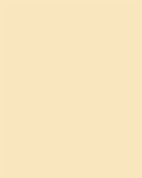 Visico Cream 2.72 x 11 Metre Fon Kağıdı