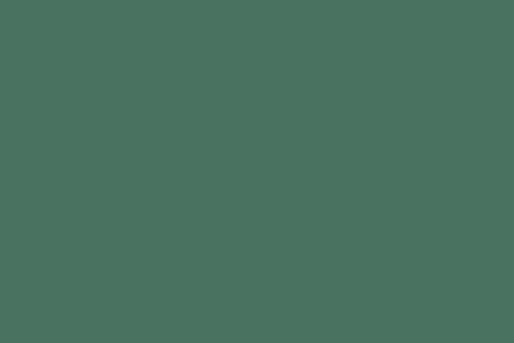 Visico Deep Green 2.72 x 11 Metre Fon Kağıdı