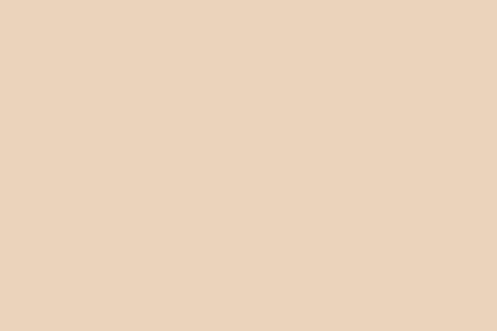 Visico Ivorine 2.72 x 11 Metre Fon Kağıdı